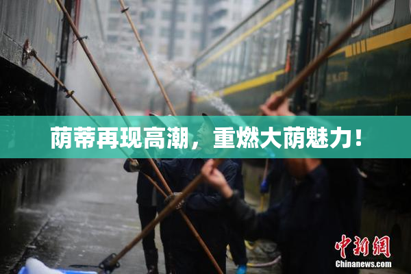 荫蒂再现高潮，重燃大荫魅力！