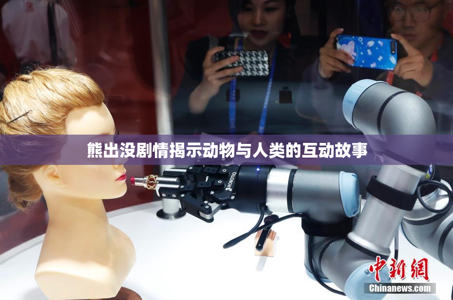 熊出没剧情揭示动物与人类的互动故事
