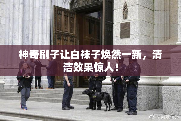 神奇刷子让白袜子焕然一新，清洁效果惊人！