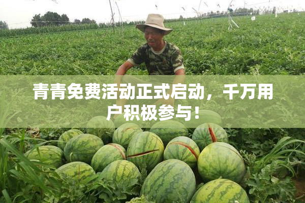 青青免费活动正式启动，千万用户积极参与！