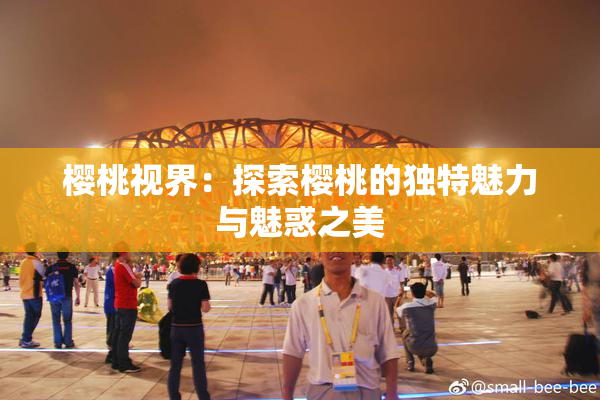 樱桃视界：探索樱桃的独特魅力与魅惑之美
