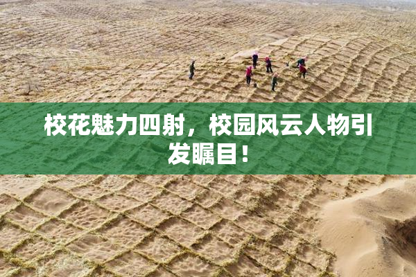 校花魅力四射，校园风云人物引发瞩目！
