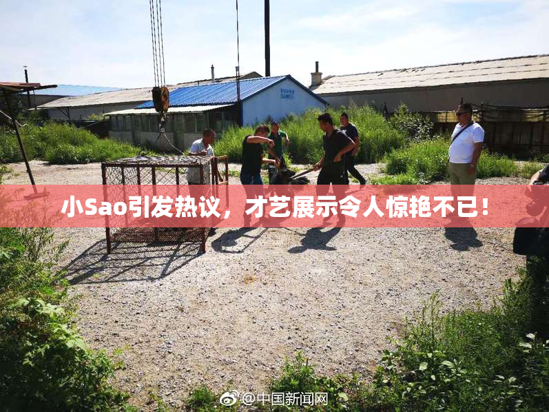 小Sao引发热议，才艺展示令人惊艳不已！