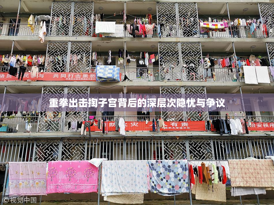 重拳出击掏子宫背后的深层次隐忧与争议
