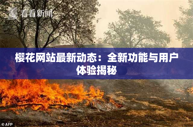 樱花网站最新动态：全新功能与用户体验揭秘