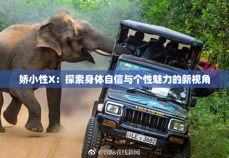 娇小性X：探索身体自信与个性魅力的新视角