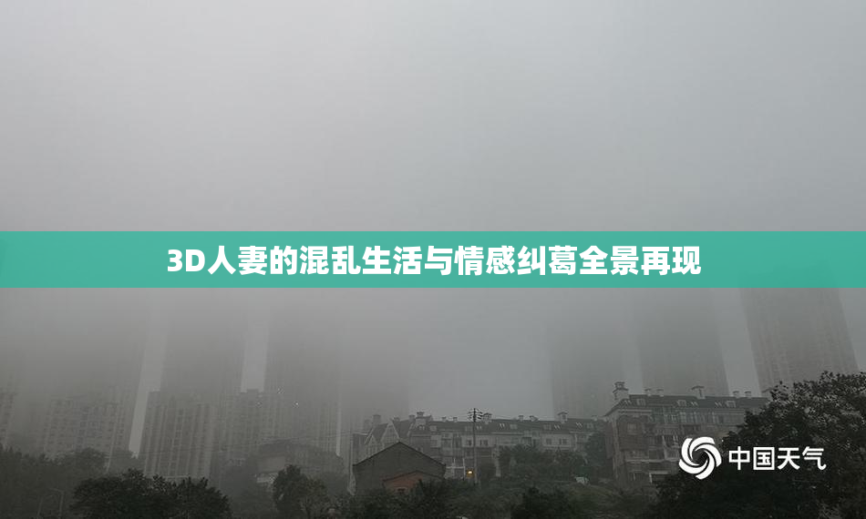 3D人妻的混乱生活与情感纠葛全景再现