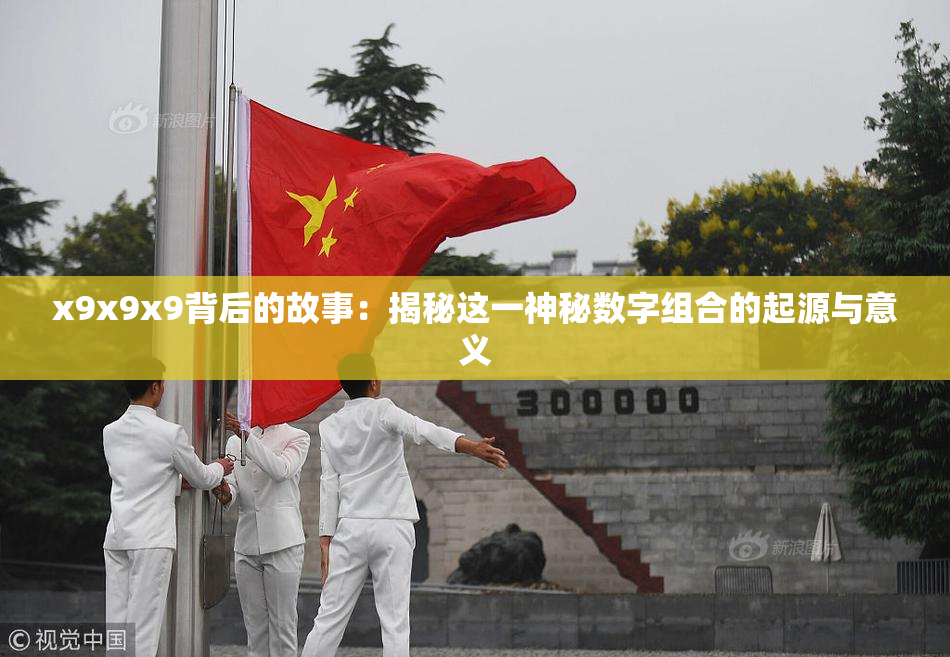 x9x9x9背后的故事：揭秘这一神秘数字组合的起源与意义