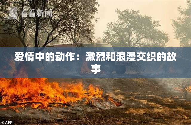 爱情中的动作：激烈和浪漫交织的故事