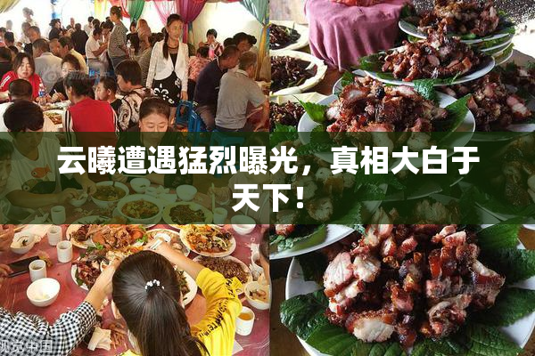 云曦遭遇猛烈曝光，真相大白于天下！
