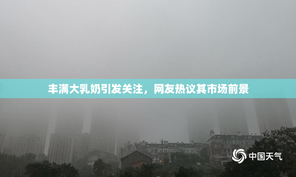丰满大乳奶引发关注，网友热议其市场前景