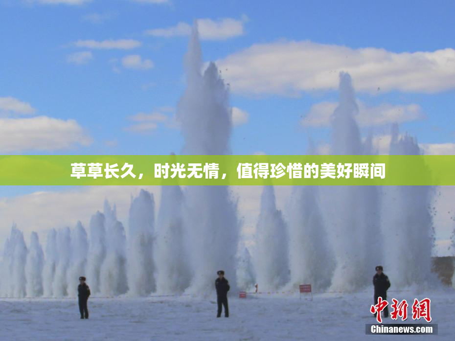 草草长久，时光无情，值得珍惜的美好瞬间