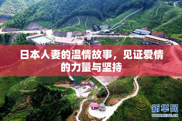 日本人妻的温情故事，见证爱情的力量与坚持