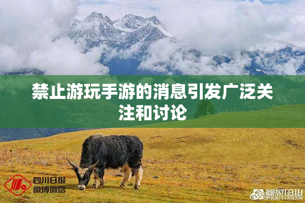 禁止游玩手游的消息引发广泛关注和讨论