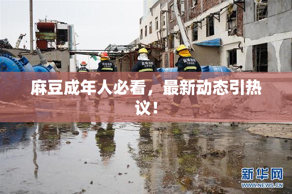 麻豆成年人必看，最新动态引热议！