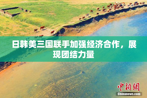 日韩美三国联手加强经济合作，展现团结力量