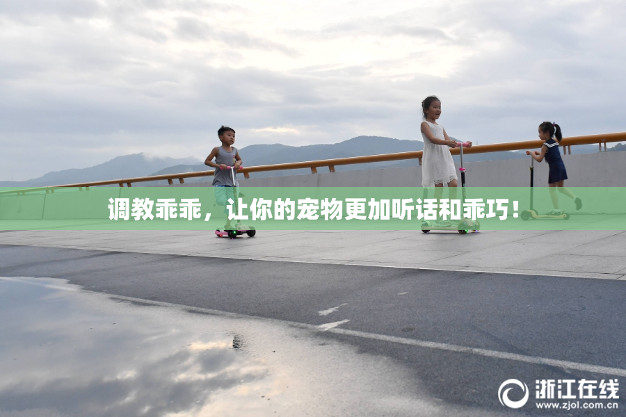 调教乖乖，让你的宠物更加听话和乖巧！