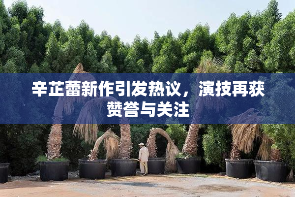 辛芷蕾新作引发热议，演技再获赞誉与关注