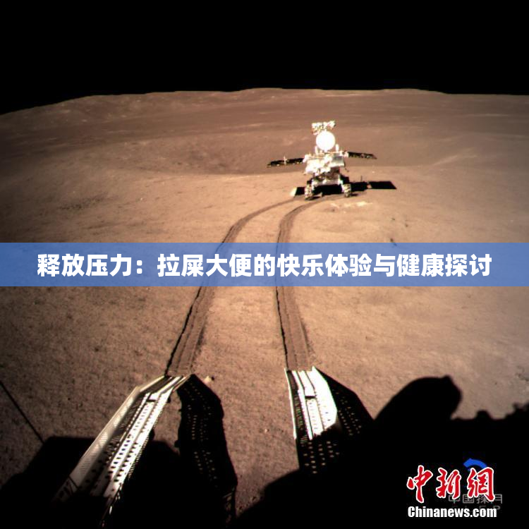 释放压力：拉屎大便的快乐体验与健康探讨