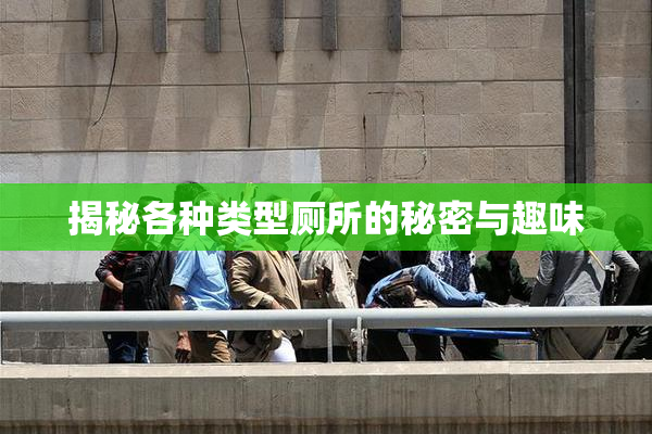 揭秘各种类型厕所的秘密与趣味