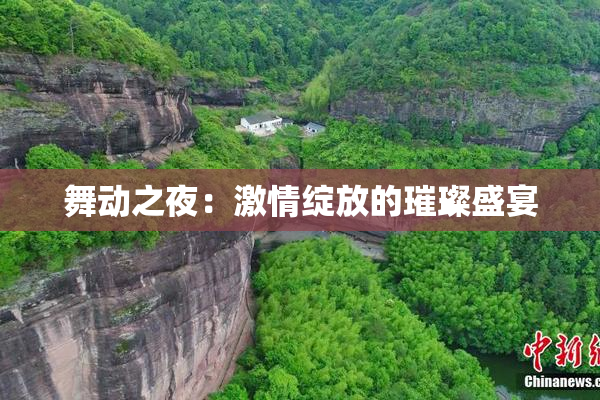 舞动之夜：激情绽放的璀璨盛宴