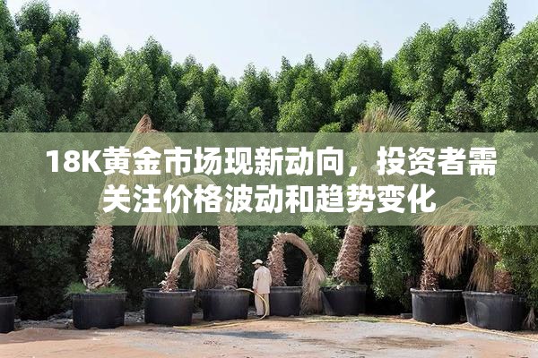18K黄金市场现新动向，投资者需关注价格波动和趋势变化