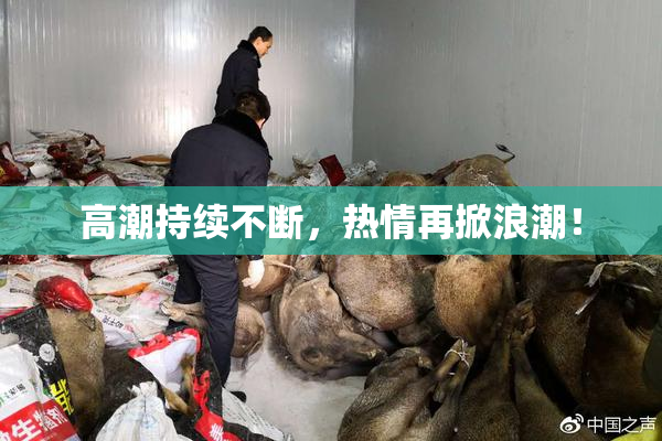 高潮持续不断，热情再掀浪潮！
