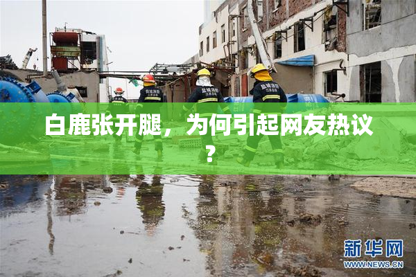 白鹿张开腿，为何引起网友热议？