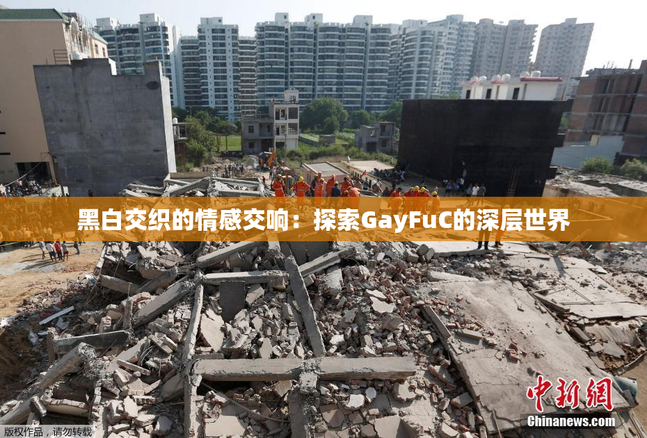 黑白交织的情感交响：探索GayFuC的深层世界
