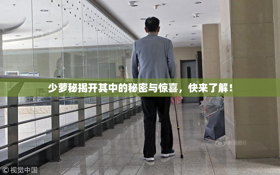 少萝秘揭开其中的秘密与惊喜，快来了解！