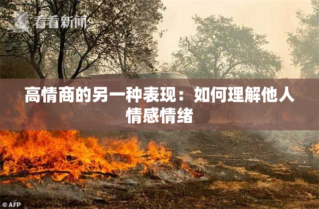 高情商的另一种表现：如何理解他人情感情绪