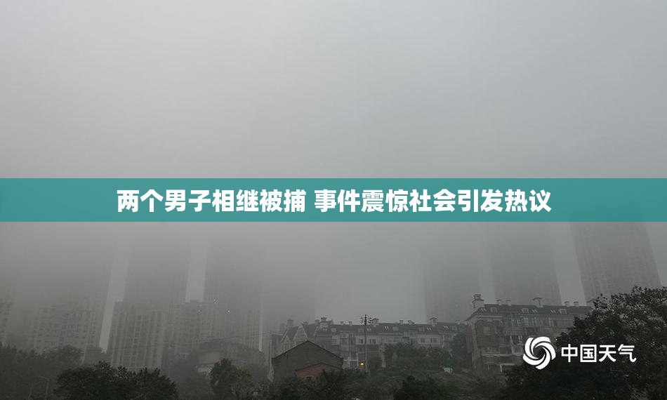 两个男子相继被捕 事件震惊社会引发热议
