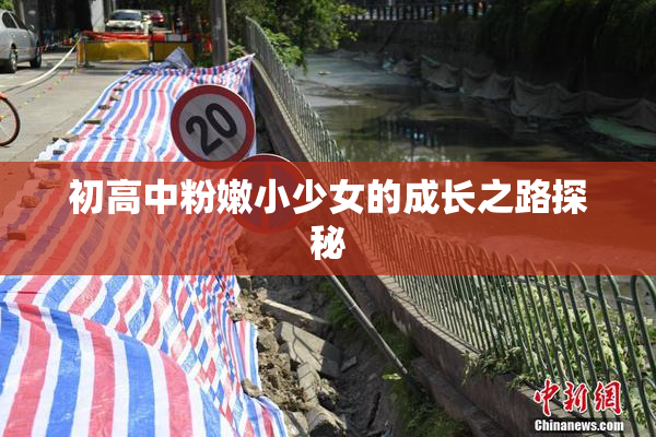 初高中粉嫩小少女的成长之路探秘