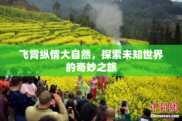 飞霄纵情大自然，探索未知世界的奇妙之旅