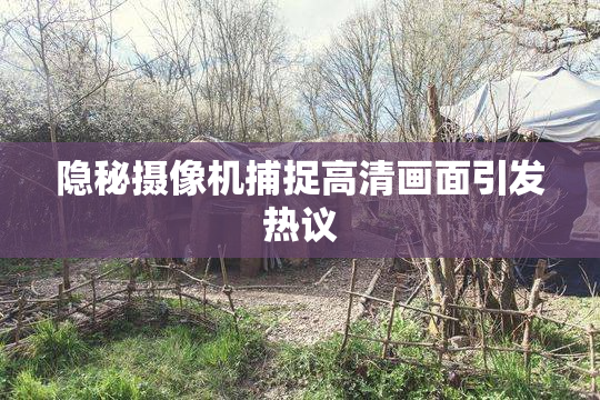 隐秘摄像机捕捉高清画面引发热议