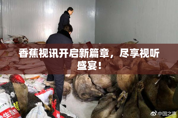香蕉视讯开启新篇章，尽享视听盛宴！