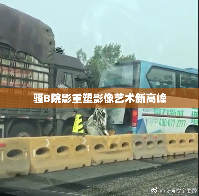 骚B院影重塑影像艺术新高峰