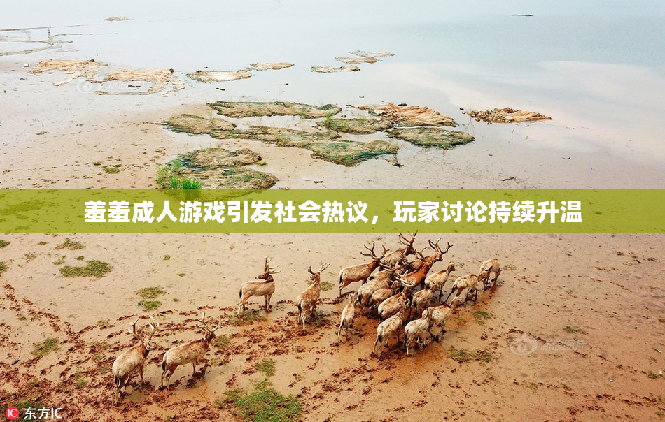 羞羞成人游戏引发社会热议，玩家讨论持续升温