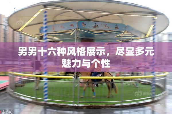 男男十六种风格展示，尽显多元魅力与个性