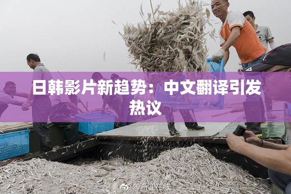 日韩影片新趋势：中文翻译引发热议