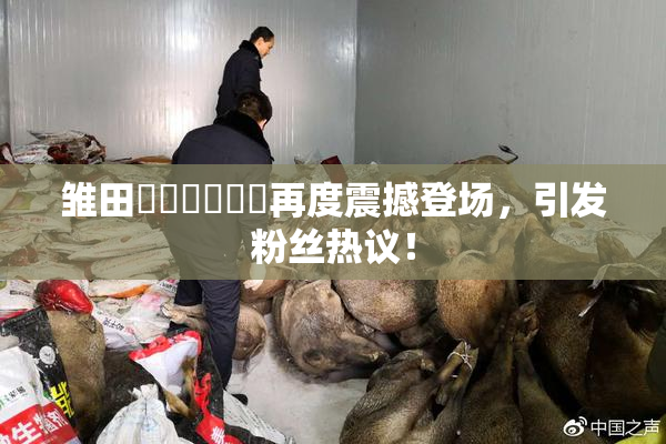 雏田❌‌❌‌❌‌再度震撼登场，引发粉丝热议！