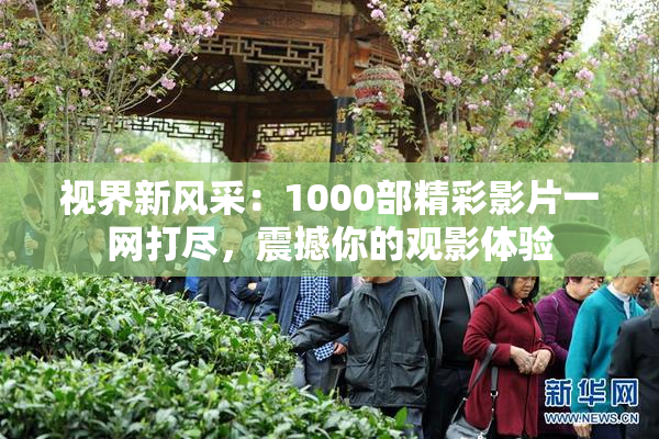 视界新风采：1000部精彩影片一网打尽，震撼你的观影体验