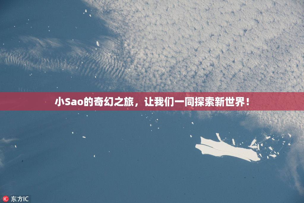 小Sao的奇幻之旅，让我们一同探索新世界！