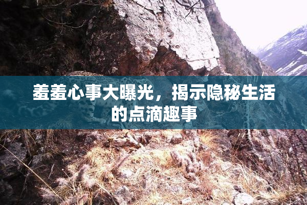 羞羞心事大曝光，揭示隐秘生活的点滴趣事