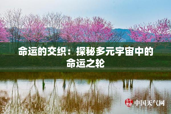 命运的交织：探秘多元宇宙中的命运之轮