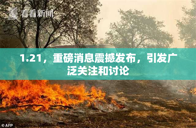 1.21，重磅消息震撼发布，引发广泛关注和讨论