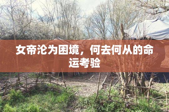 女帝沦为困境，何去何从的命运考验