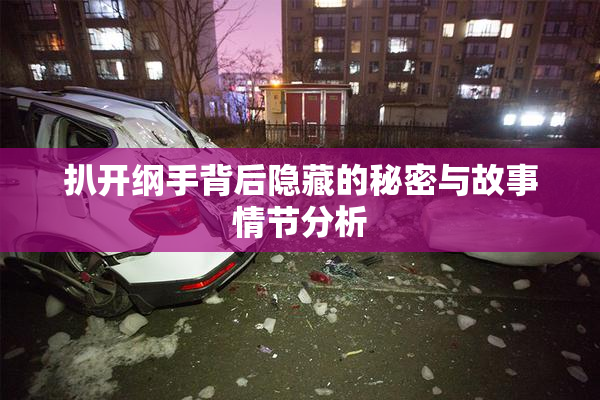 扒开纲手背后隐藏的秘密与故事情节分析
