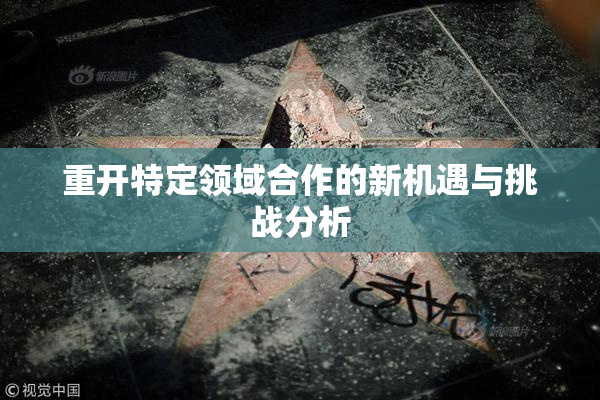 重开特定领域合作的新机遇与挑战分析