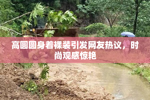 高圆圆身着裸装引发网友热议，时尚观感惊艳